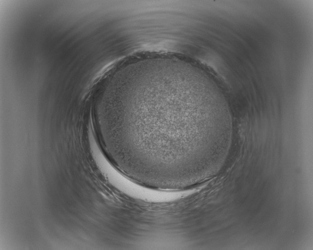 X0000065230968200602211140