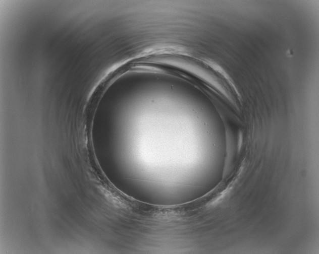 X0000065230973200602211140