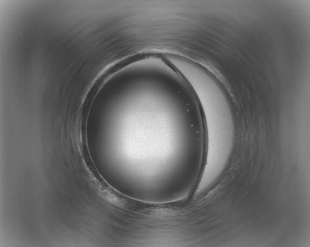 X0000065230984200602211140