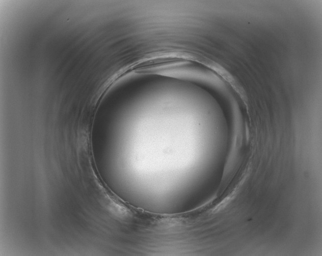 X0000065230993200602211140
