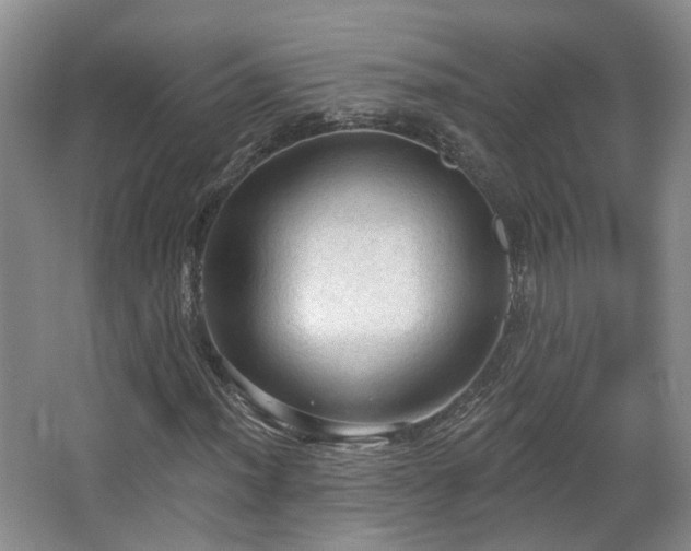 X0000065231012200602211139