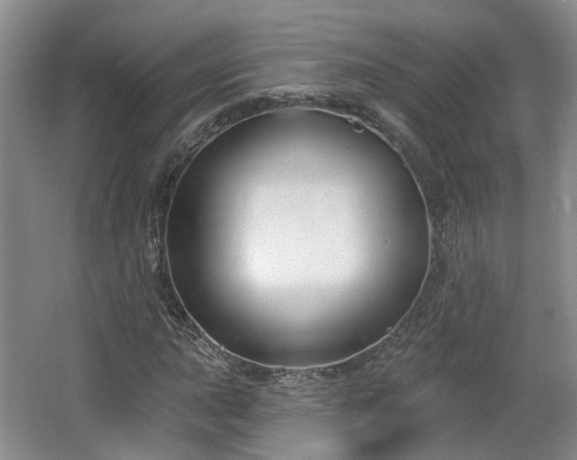 X0000065231015200602211139