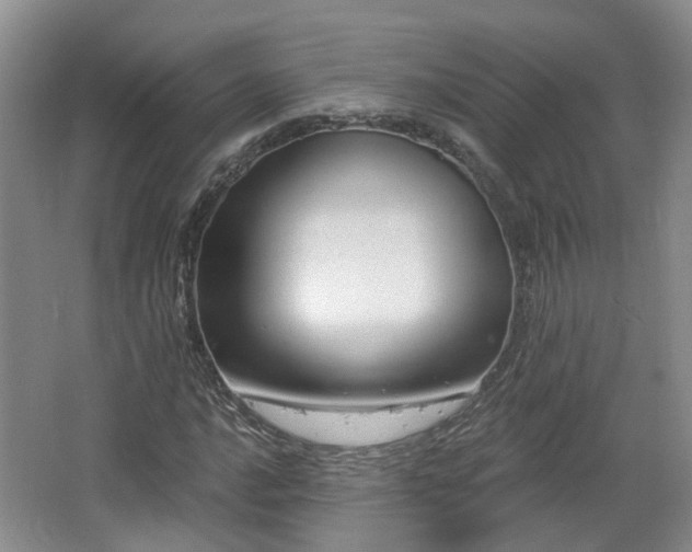 X0000065231016200602211139