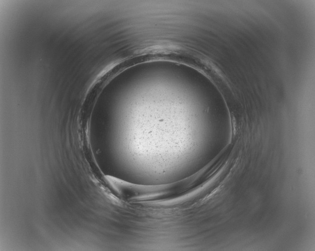 X0000065231018200602211139