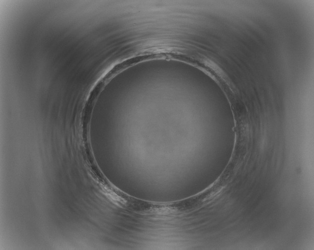 X0000065231023200602211139