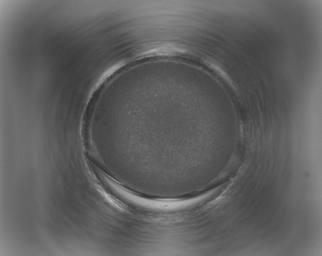 X0000065231026200602211139