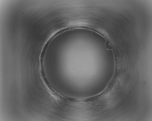X0000065231031200602211139