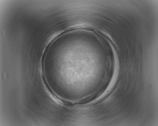 X0000065231034200602211139