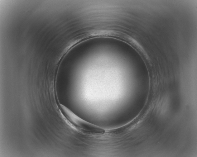 X0000065231041200602211139
