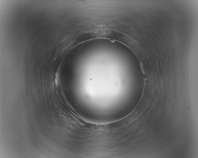 X0000065231058200602211139