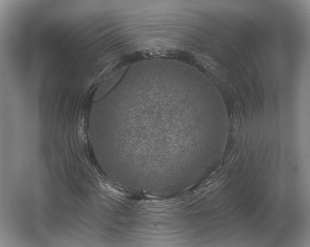 X0000065231060200602211139
