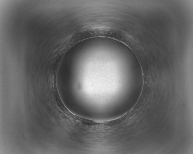 X0000065231061200602211139