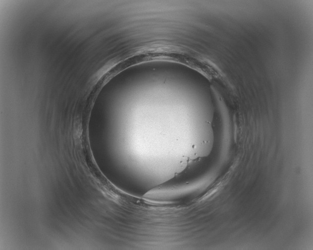 X0000065231065200602211139