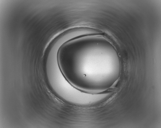 X0000065231069200602211139