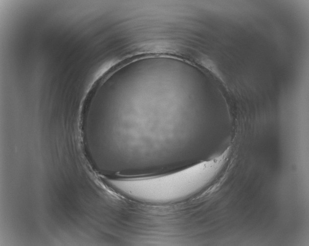 X0000065231071200602211138
