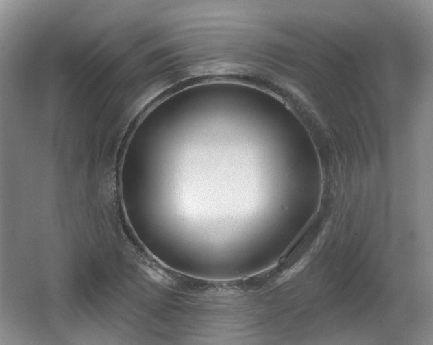 X0000065231073200602211138