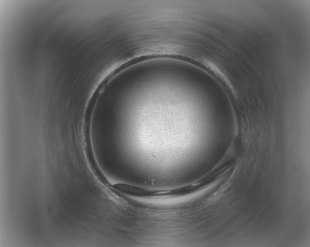 X0000065231085200602211138
