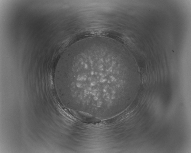 X0000065231106200602211137