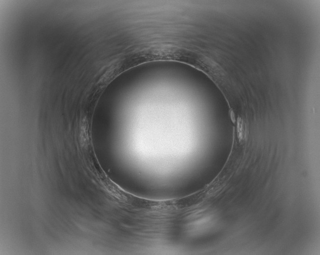X0000065231107200602211137