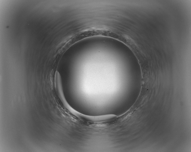X0000065231110200602211137