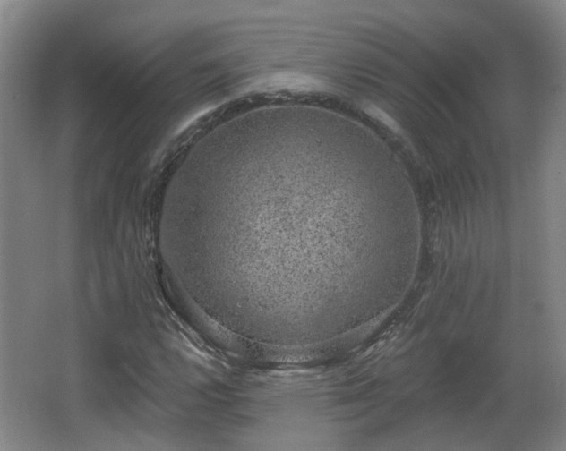 X0000065231112200602211137