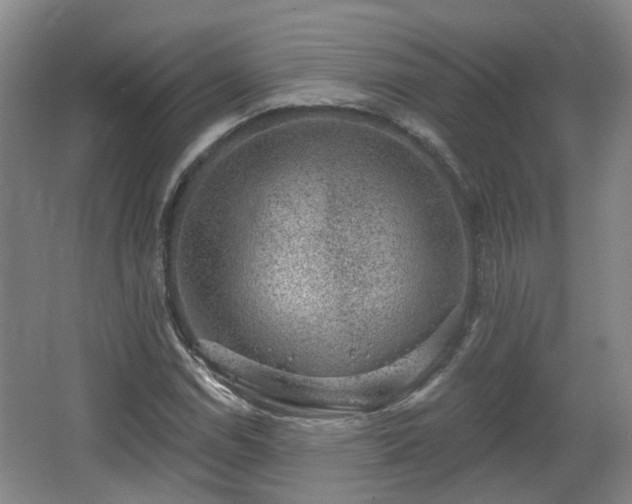 X0000065231114200602211137