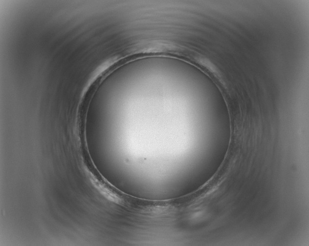 X0000065231122200602211137