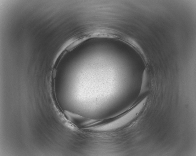 X0000065231138200602211138