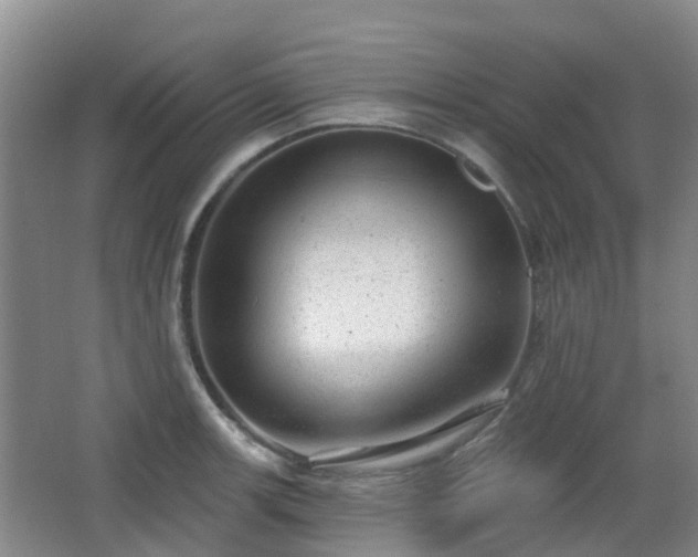 X0000065231139200602211138