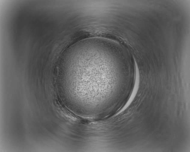 X0000065231153200602211137