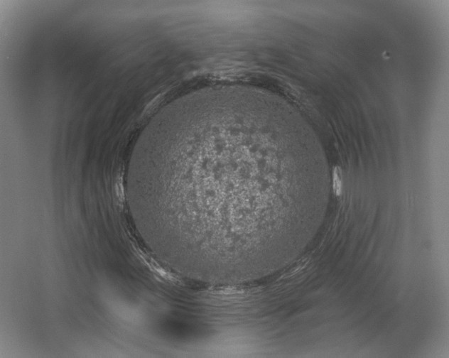 X0000065231155200602211137