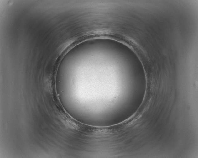 X0000065231162200602211137
