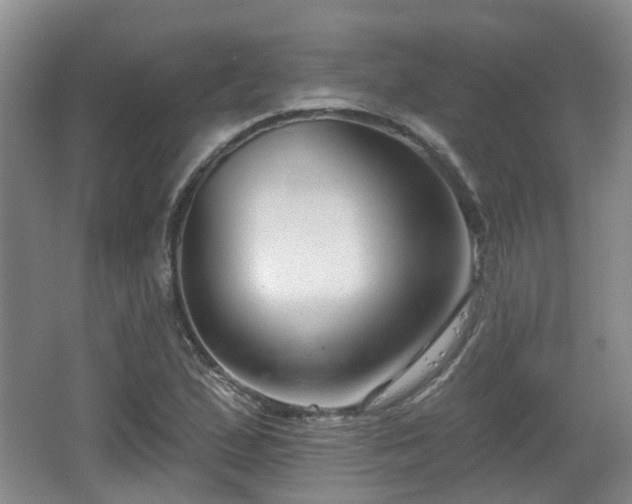 X0000065231167200602211137