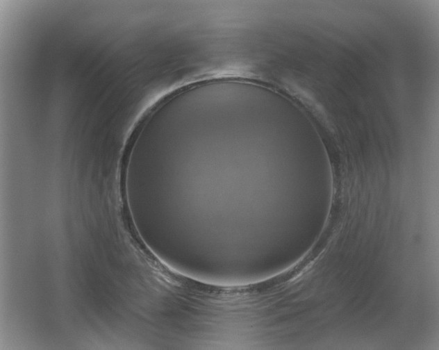 X0000065231174200602211137
