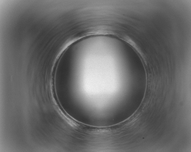 X0000065231187200602211136