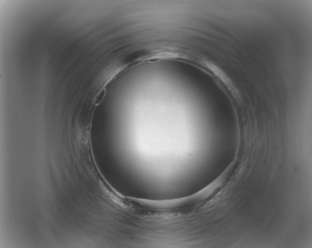 X0000065231193200602211136