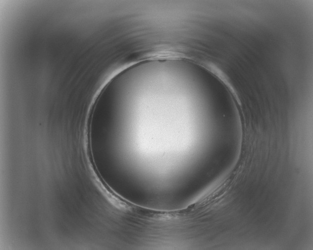X0000065231195200602211136