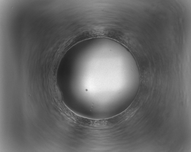 X0000065231201200602211135
