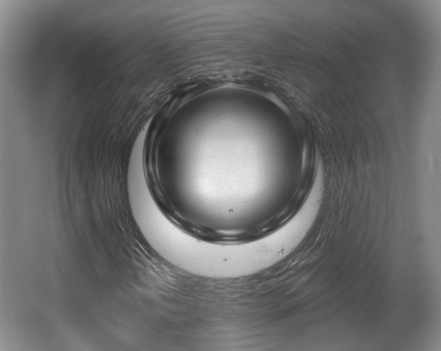 X0000065231202200602211135