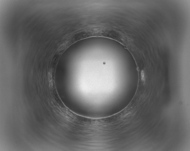 X0000065231203200602211135