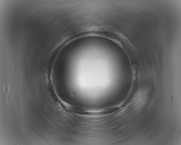 X0000065231209200602211135