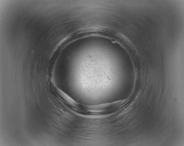 X0000065231210200602211135
