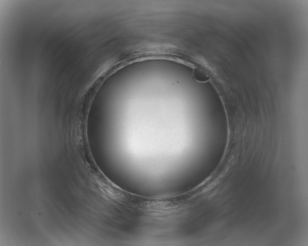 X0000065231211200602211135