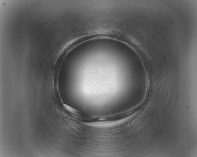X0000065231214200602211135