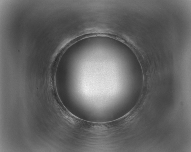 X0000065231215200602211135