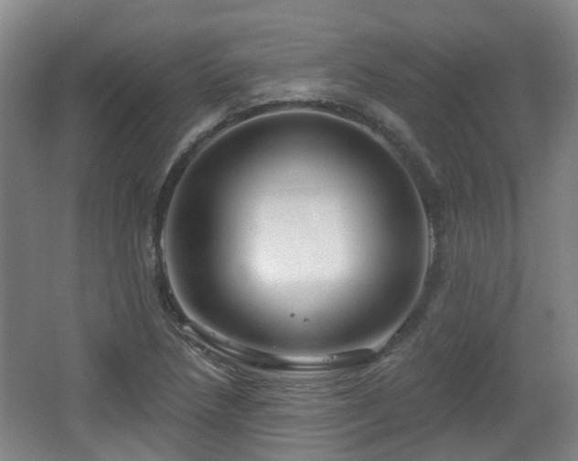X0000065231218200602211136