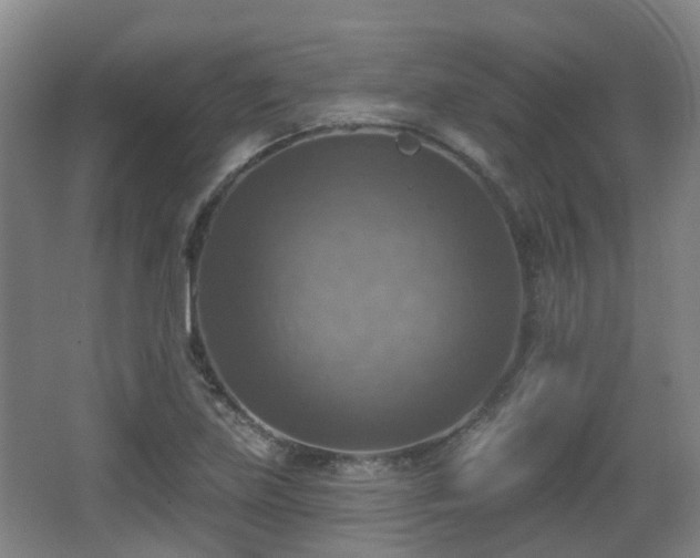 X0000065231219200602211136