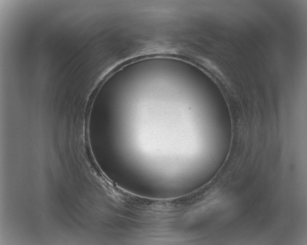 X0000065231220200602211136