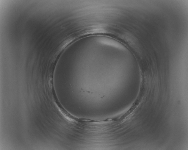 X0000065231225200602211136