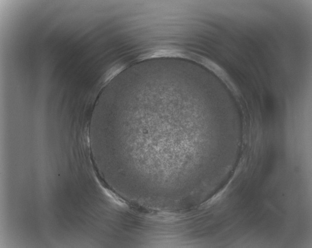 X0000065231241200602211136
